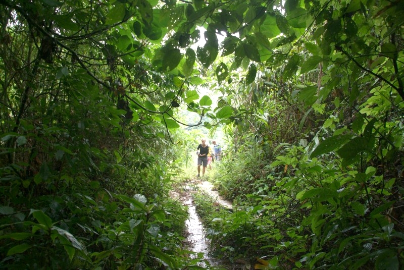 Jinghong, Yunnan, China: Wanderung zu Wasserfall