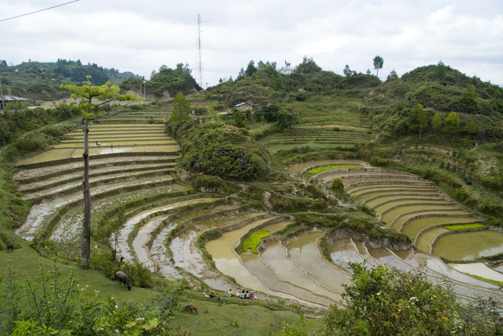 Tobasee Sumatra Indonesien 013